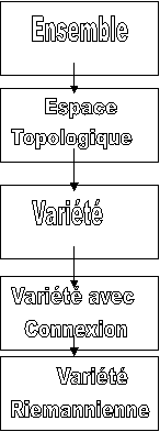 Ensemble,   Espace
Topologique,Varit,Varit avec
 Connexion,    Varit
Riemannienne